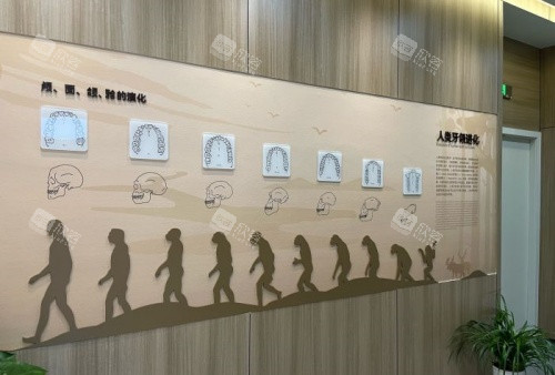 衢州可恩口腔人类进化展示图