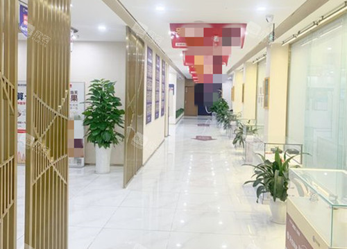 宜宾喜牙口腔内部过道环境